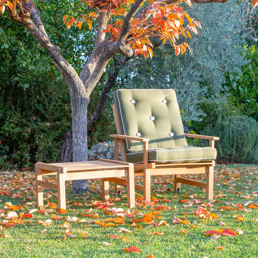 Fri-form-insperation-teak-picture